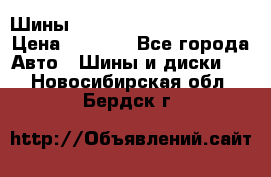 Шины bridgestone potenza s 2 › Цена ­ 3 000 - Все города Авто » Шины и диски   . Новосибирская обл.,Бердск г.